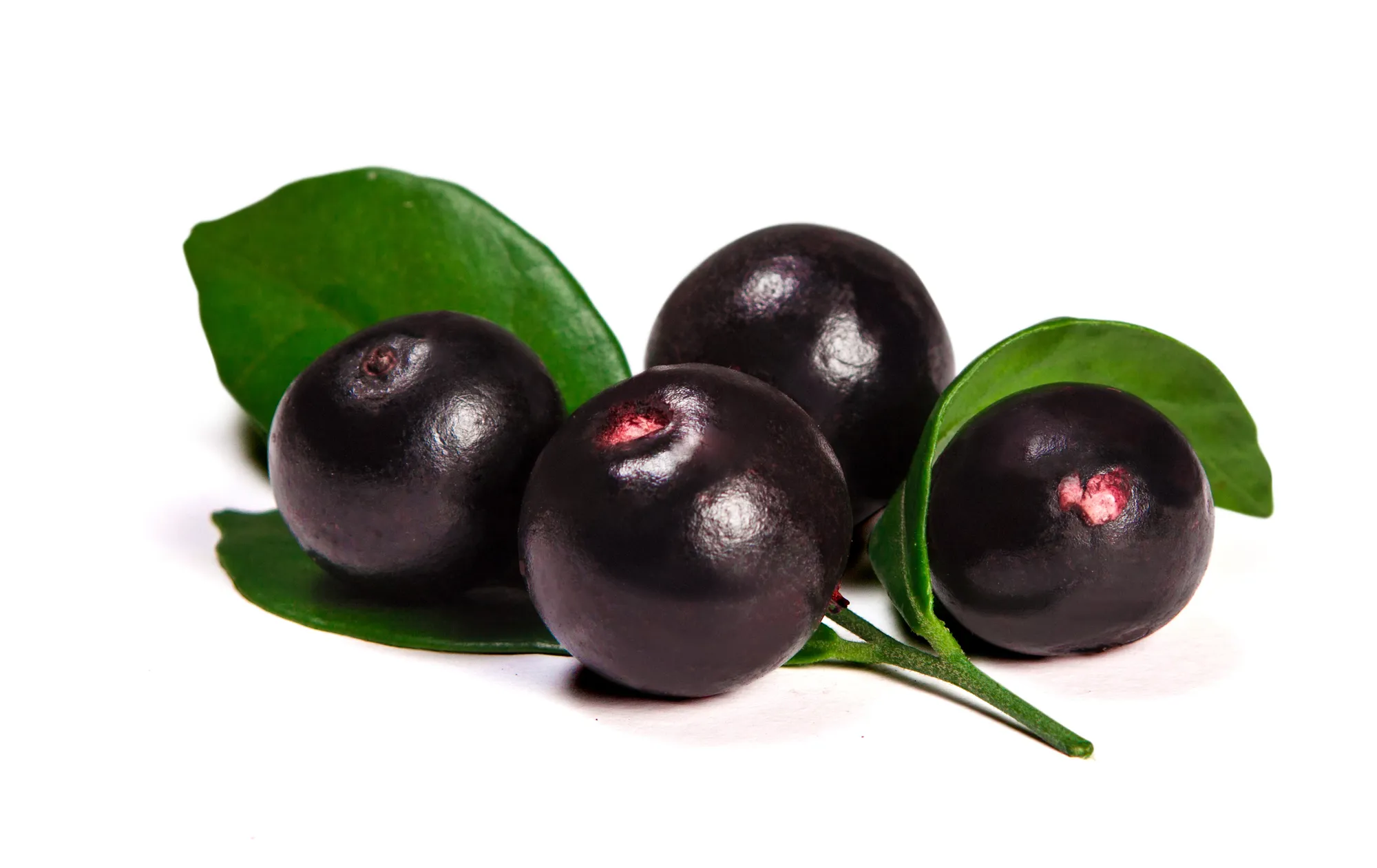 Pulpa aséptica de açaí