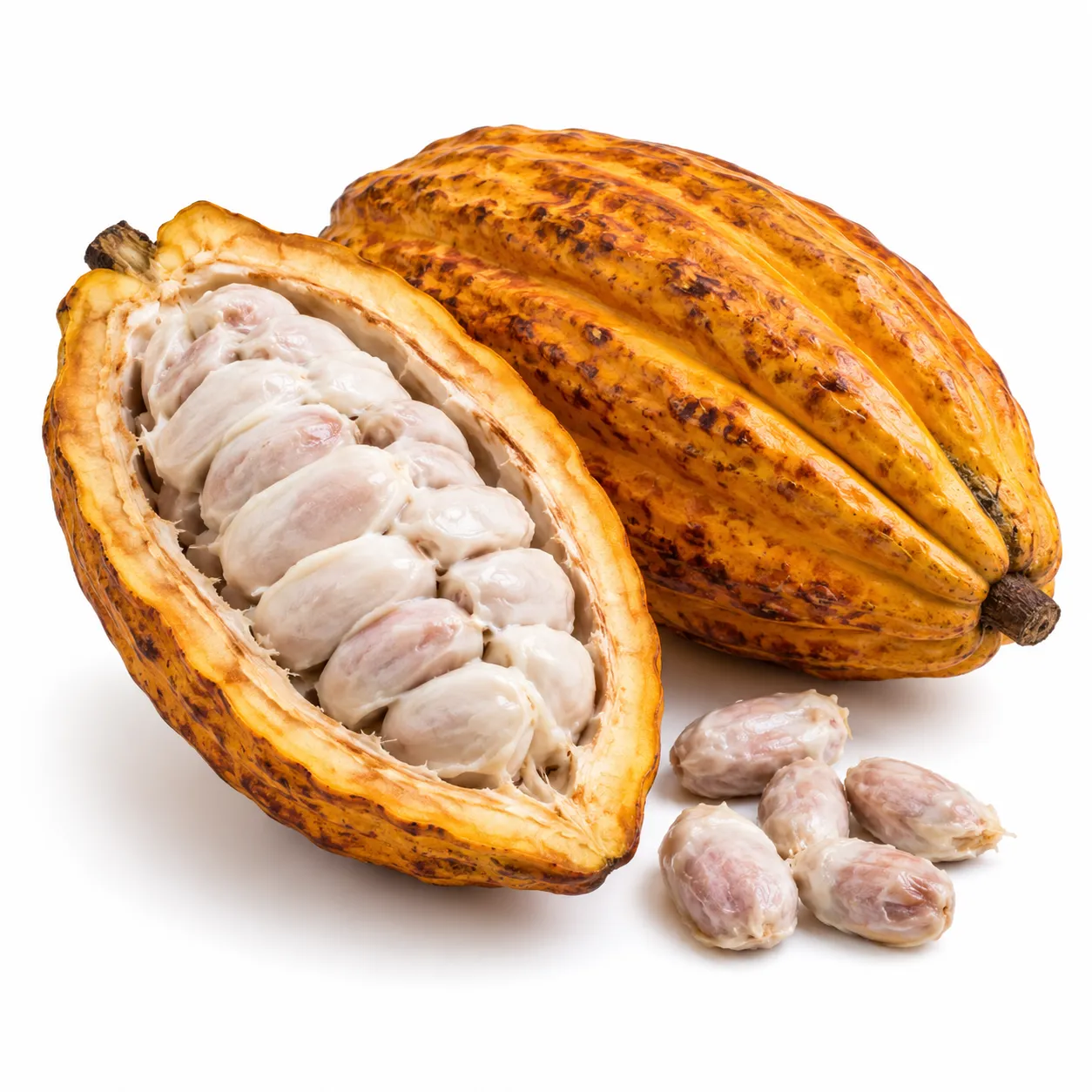 Cacao