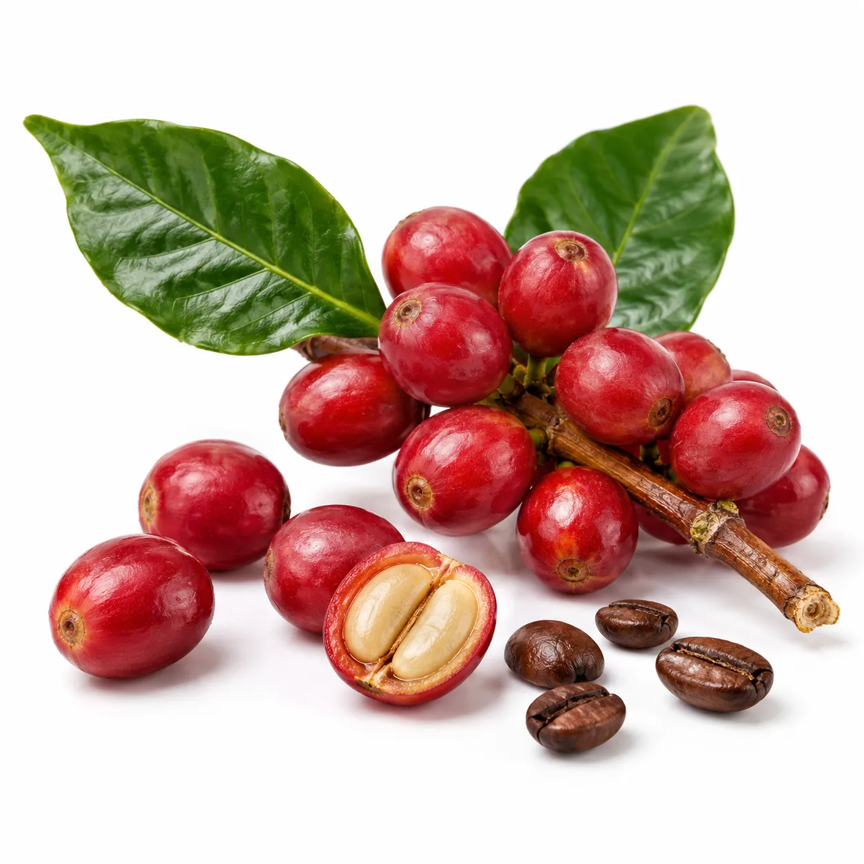 Café