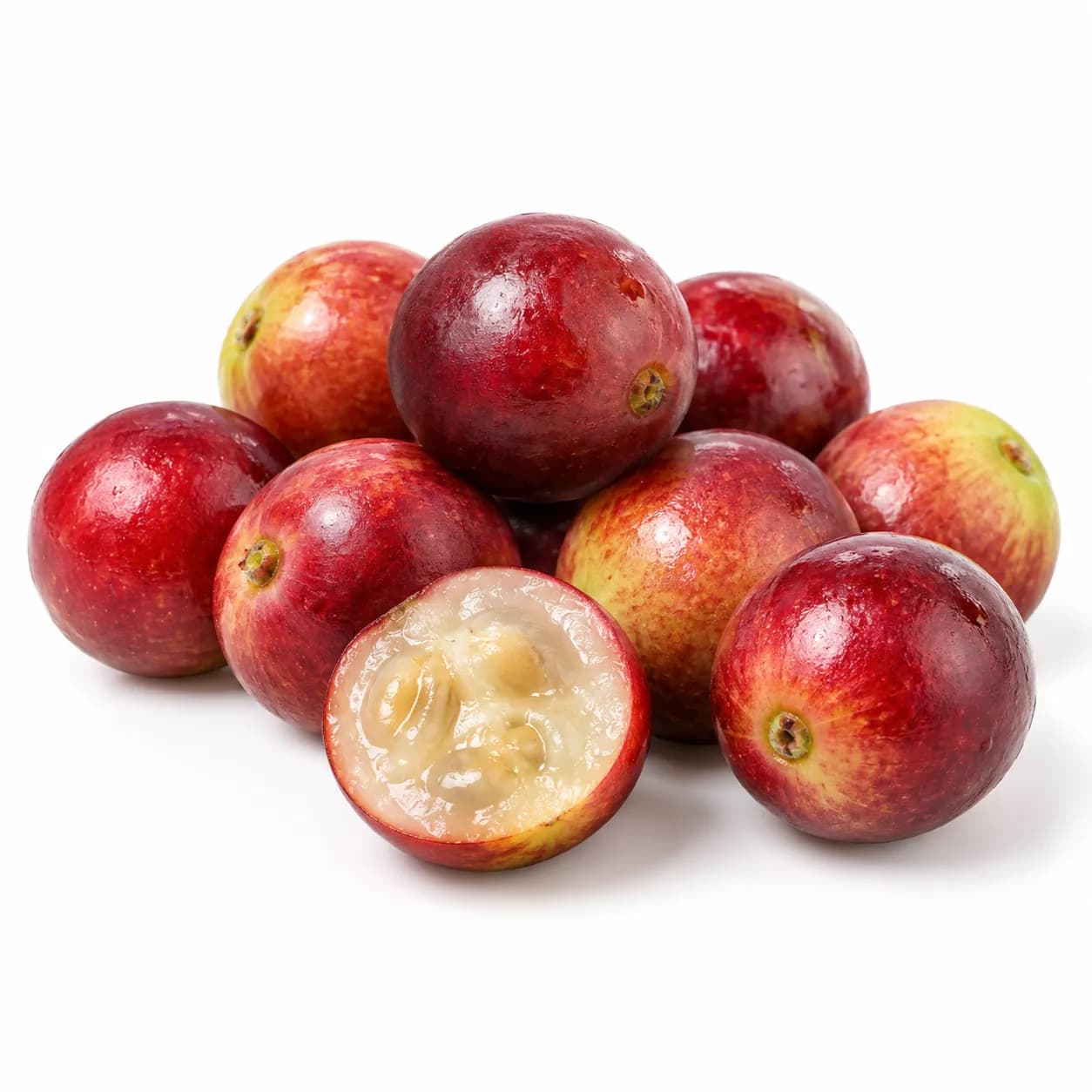 Extracto de camu camu liofilizado
